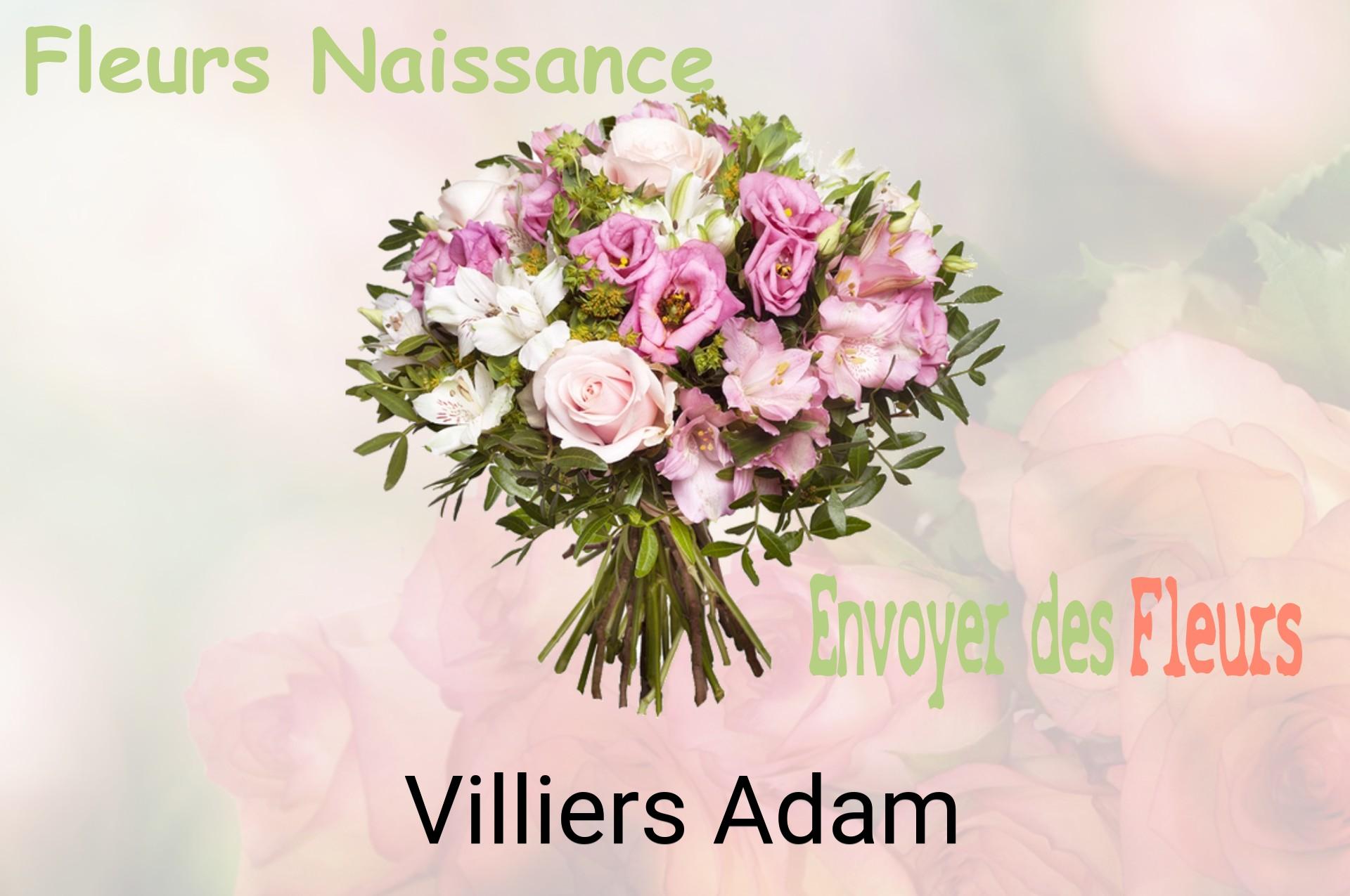 Bouquet de fleurs de naissance livré à Villiers-Adam